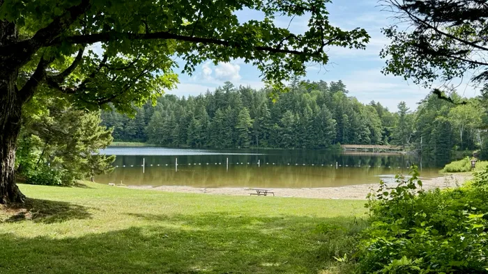 a quiet forest lake with a sandy swimming beach and a picnic table, framed by a large maple tree