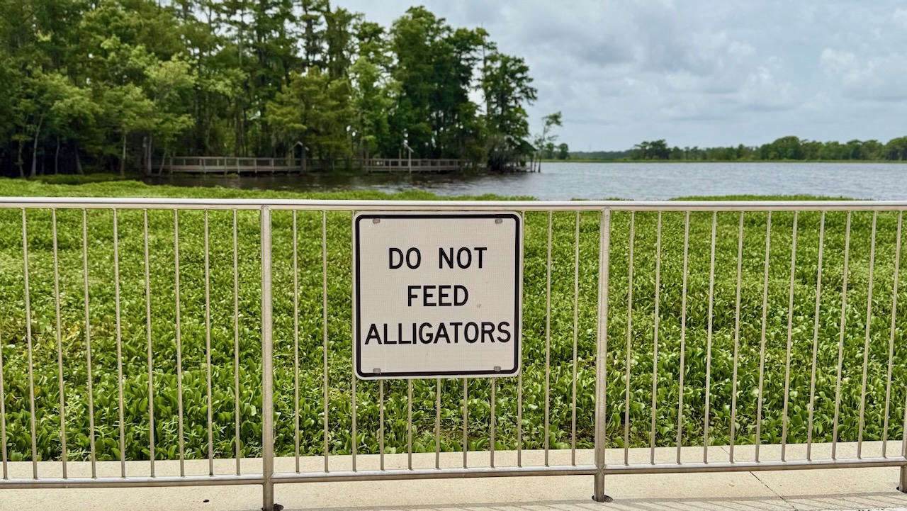Do not feed the alligators sign at a Gulf Coast swamp